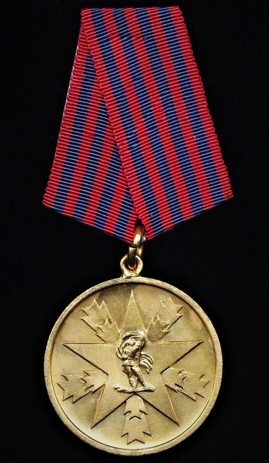 Yugoslavia (Democratic Federal Yugoslavia): Medal for Merit to the Nation (Instituted 1945). 1st Type. Bronze Gilt