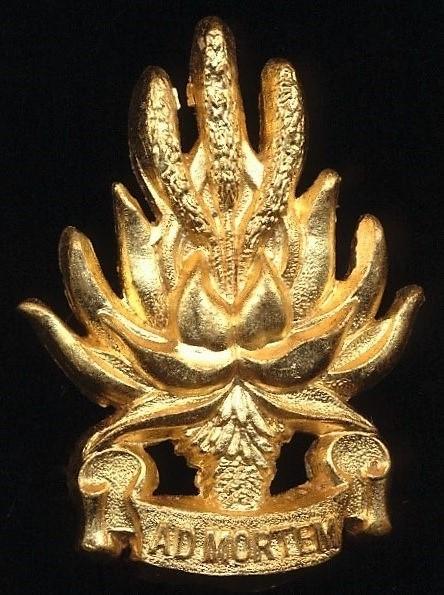 Republic of South Africa: Regiment Noordoos Kaap (North East cape). Gilding metal cap badge