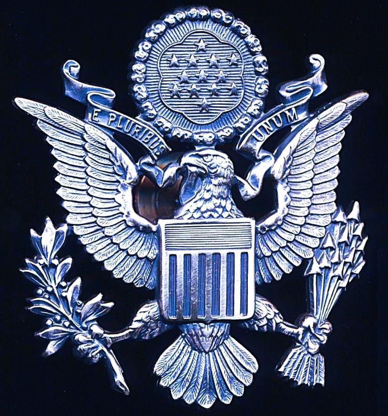United States Air Force: Officers white metal 'Visor-Cap' cap badge. Full-size