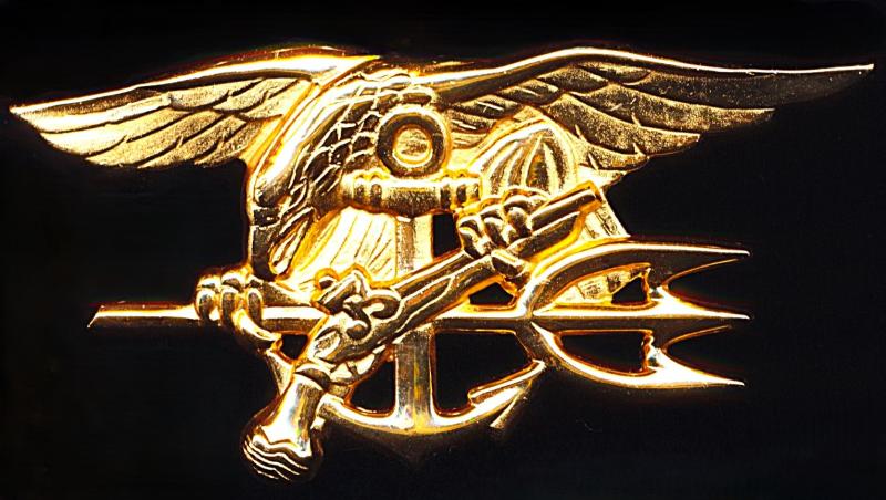 United States Navy: Special Warfare Insignia. Gold (gilt) breast badge. Full-size