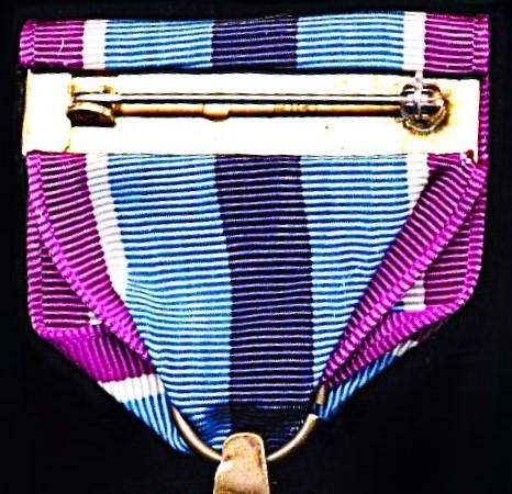 United States: Humanitarian Service Medal (HSM)