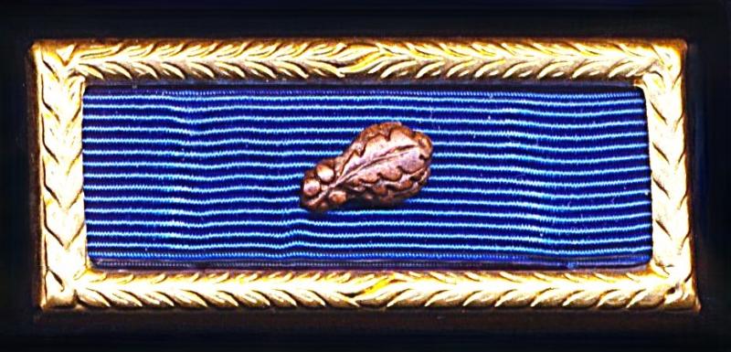 United States Presidential Unit Citation (PUC). With 1 x Bronze Oakleaf Cluster device